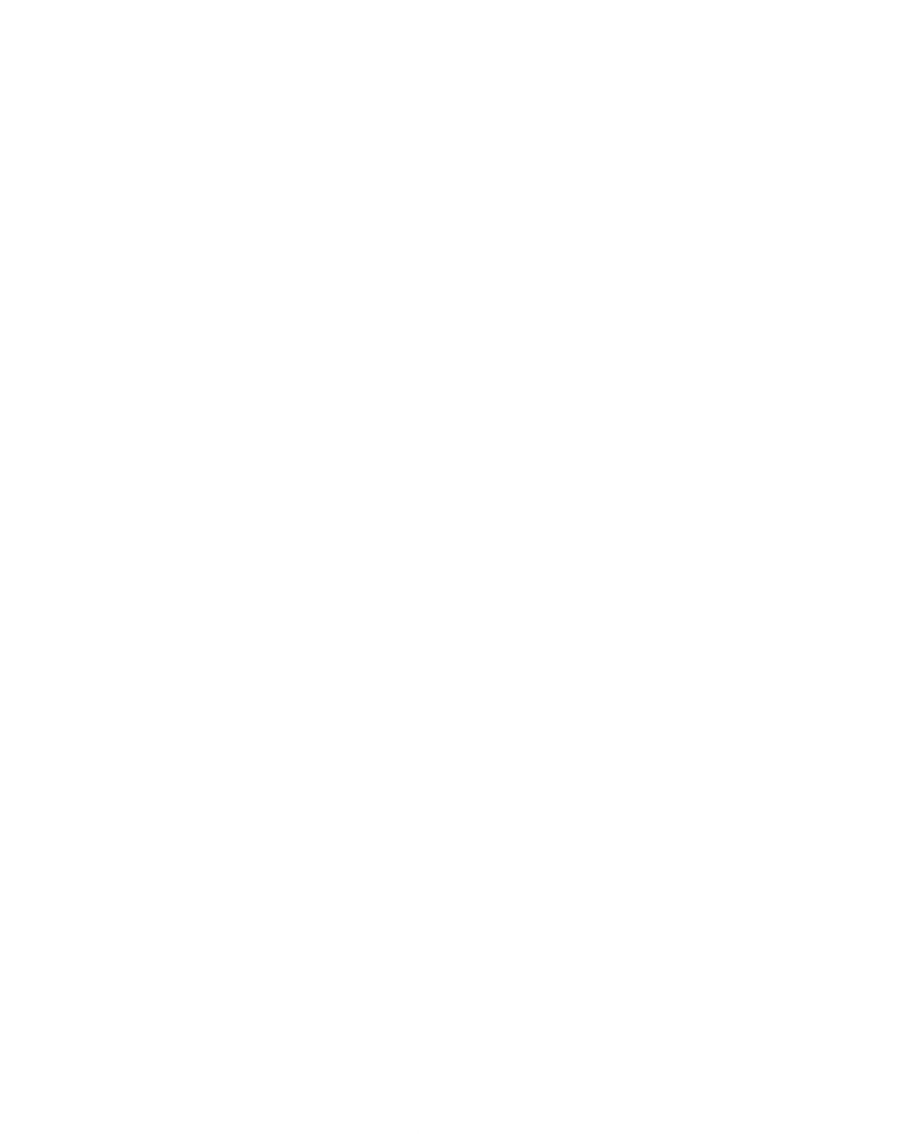 STEREOHYPE